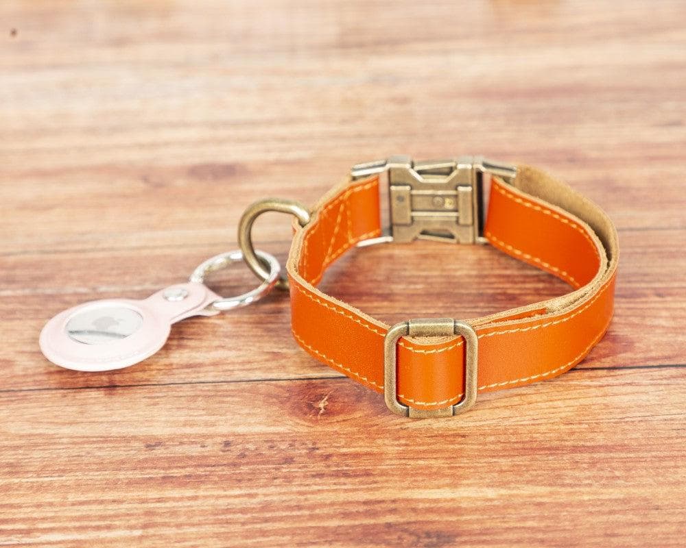 B2B - Scobby Leather Dog Collar Bouletta
