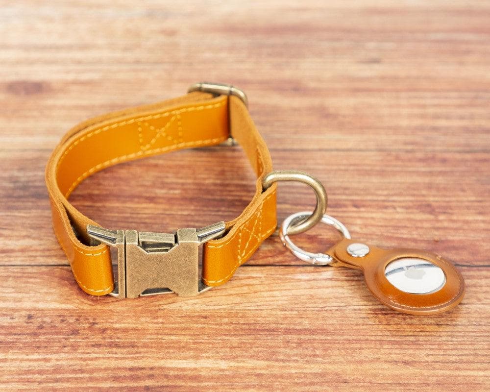 B2B - Scobby Leather Dog Collar rst2 Bouletta