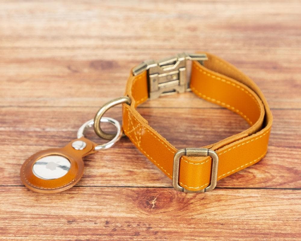 B2B - Scobby Leather Dog Collar Bouletta